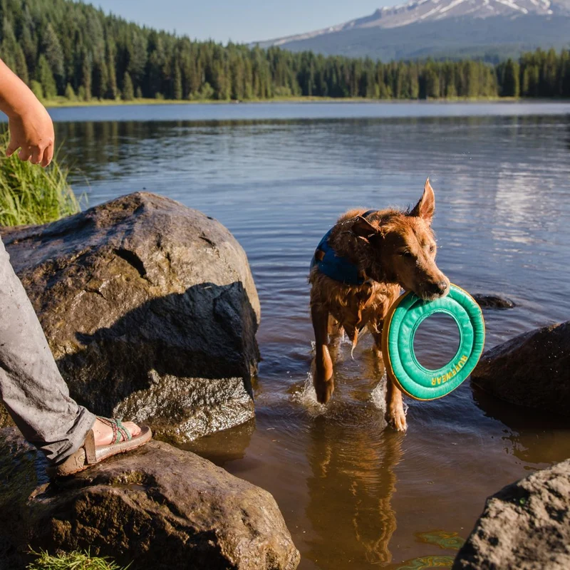 Hydro Plane™ Frisbee Biolumin Blue