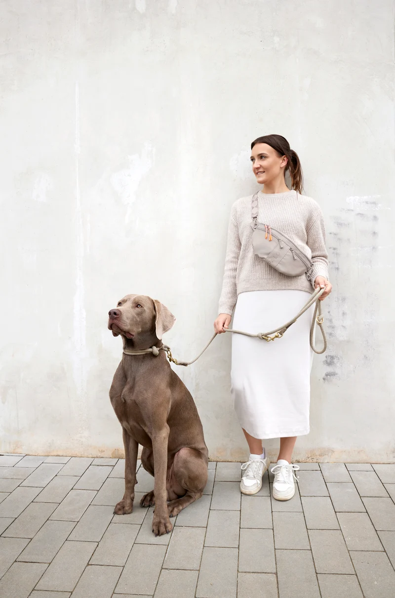Hunde Leckerlibeutel Emma Taupe