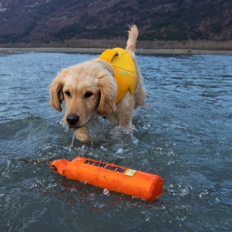 Lunker™ schwimmendes Wurfspielzeug Tangelo Orange
