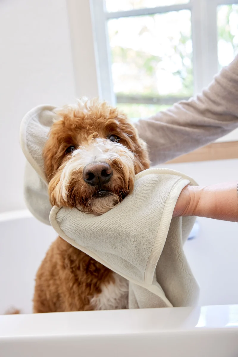 Hundehandtuch Kosy Beige