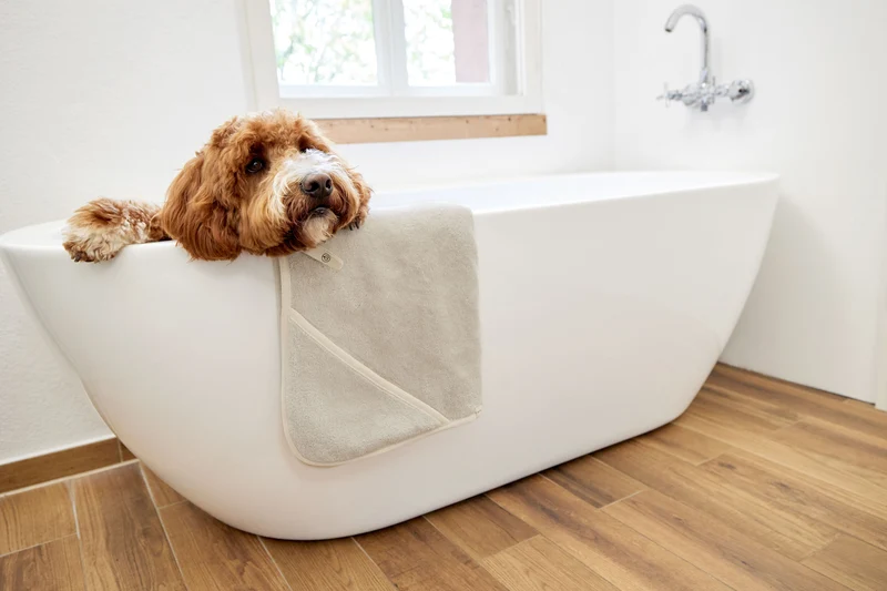 Hundehandtuch Kosy Beige