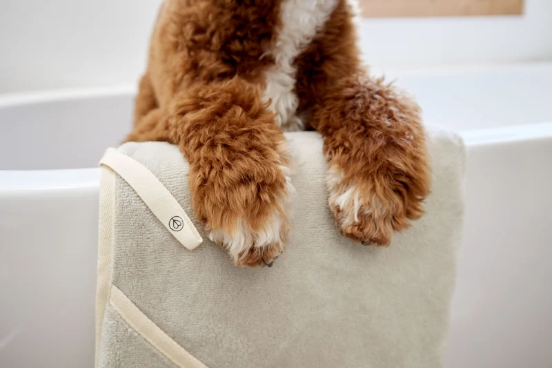 Hundehandtuch Kosy Beige