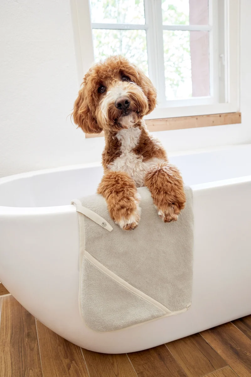 Hundehandtuch Kosy Beige