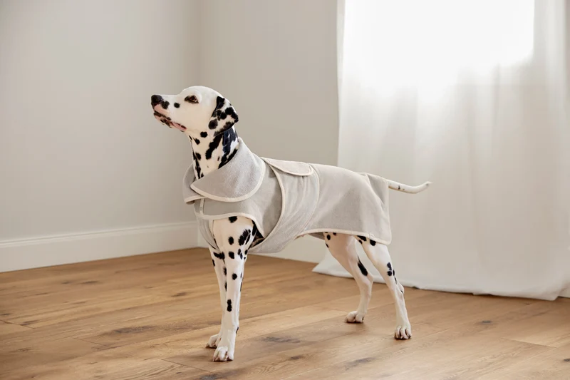 Hundebademantel Robi Beige