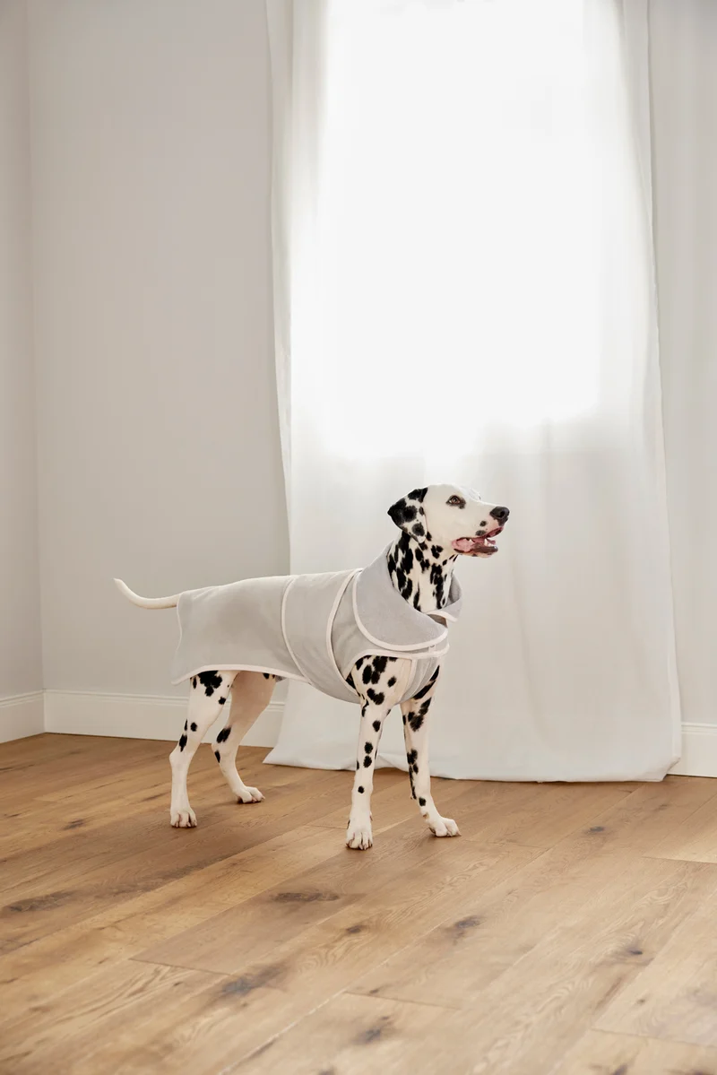 Hundebademantel Robi Beige