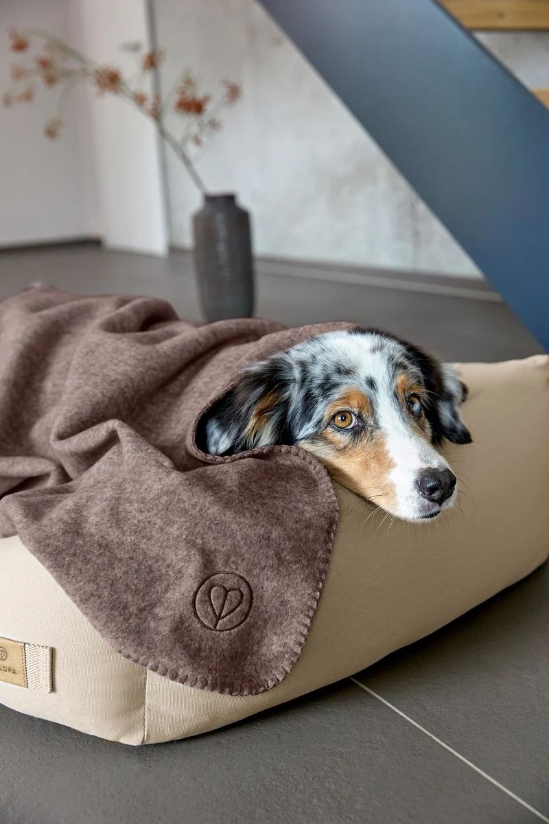 Hundedecke Mathilda Walnuss