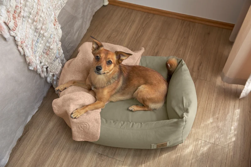 Hundedecke Mathilda Ahorn