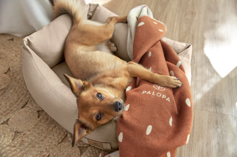 Hundedecke Ida Punkte Zimt Milchig