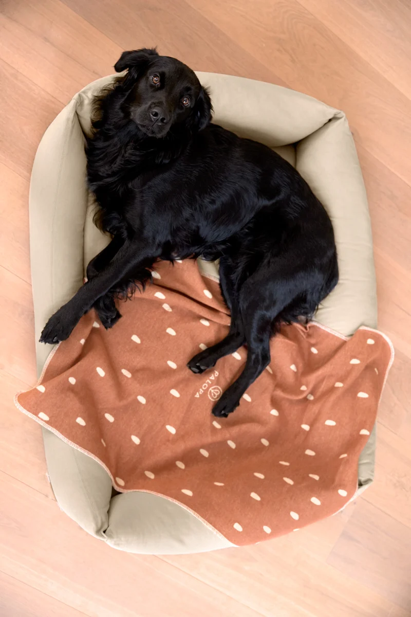 Hundedecke Ida Punkte Zimt Milchig