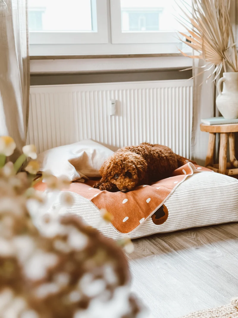 Hundedecke Ida Punkte Zimt Milchig