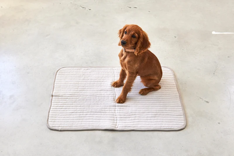 Onda Strickdecke Greige