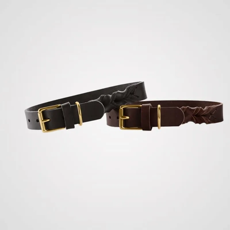 HUNTER - Sansibar Solid | Hundehalsband