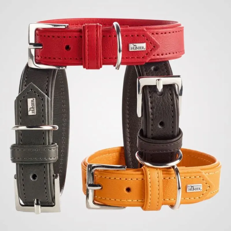 HUNTER - Wallgau | Hundehalsband