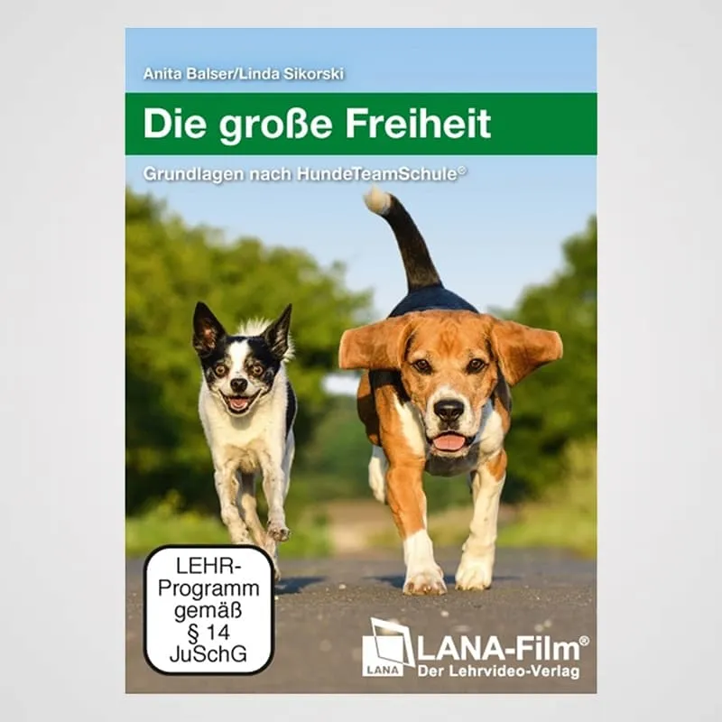 Die große Freiheit - Grundlagen nach HundeTeamschule | DVD