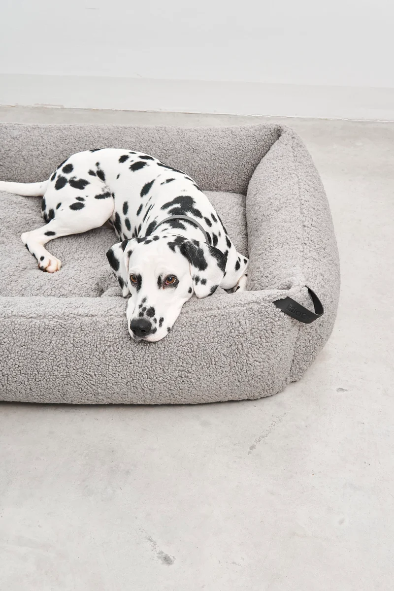 Senso Box-Bett Kiesel