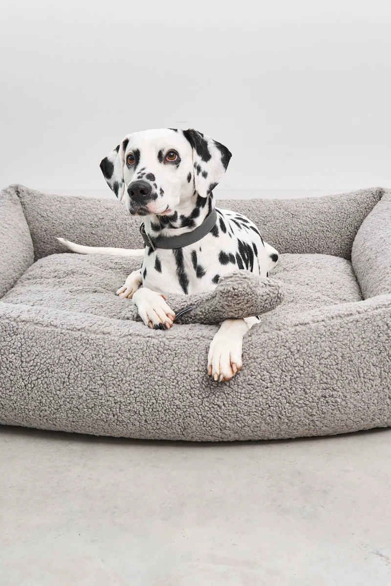 Senso Box-Bett Kiesel