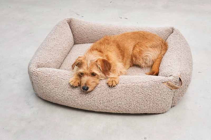 Senso Box-Bett Greige