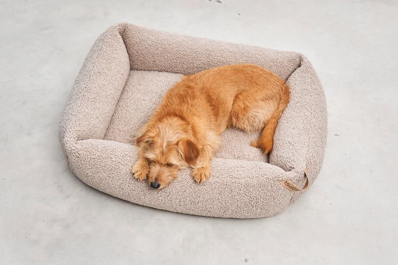 Senso Box-Bett Greige