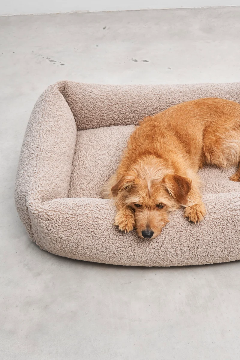 Senso Box-Bett Greige
