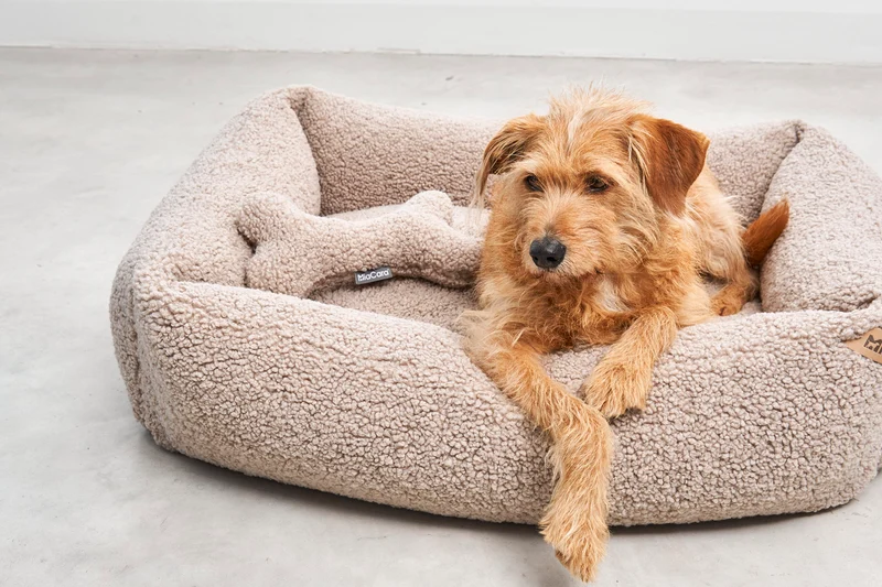 Senso Box-Bett Greige