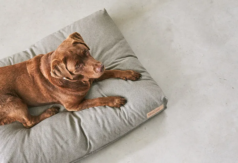 Mare Hundekissen Sand