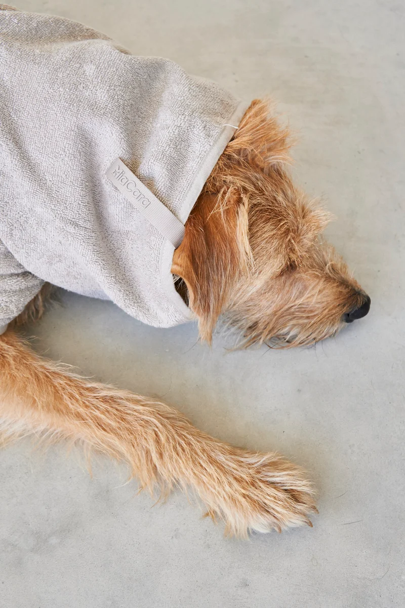 Bagno Hundebademantel Greige