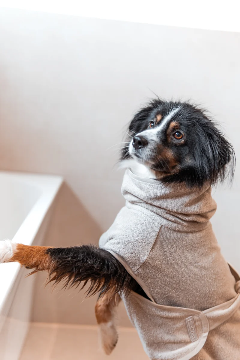 Bagno Hundebademantel Greige