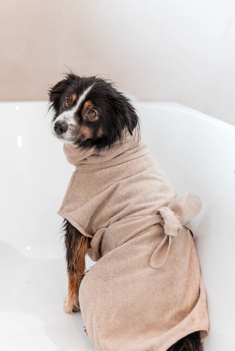 Bagno Hundebademantel Greige
