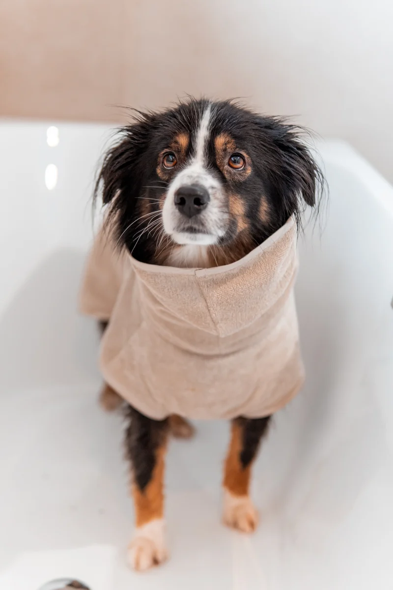 Bagno Hundebademantel Greige