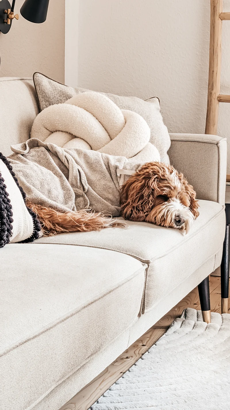 Bagno Hundebademantel Greige