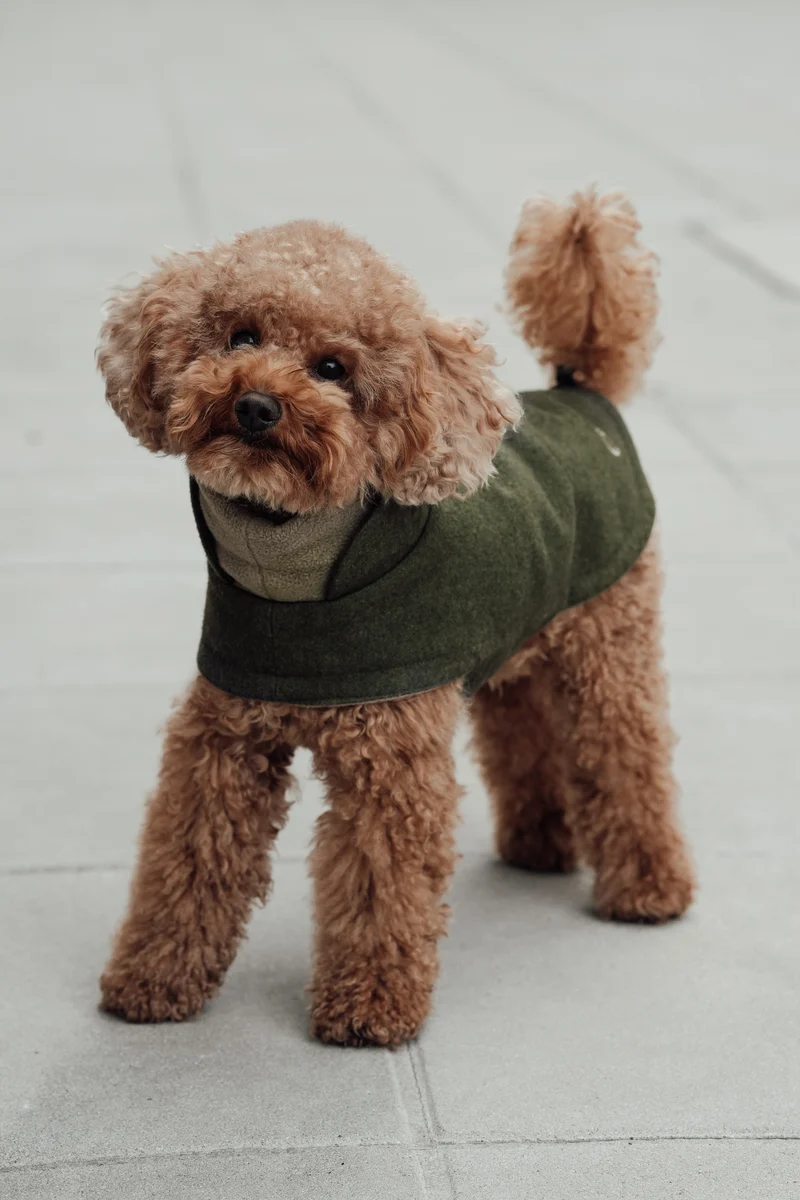 Hundemantel Brooklyn Flanell Fern Green