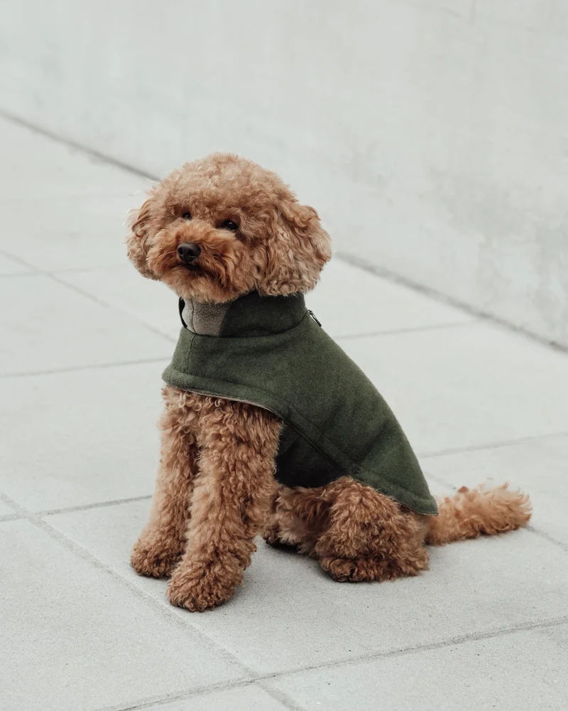 Hundemantel Brooklyn Flanell Fern Green