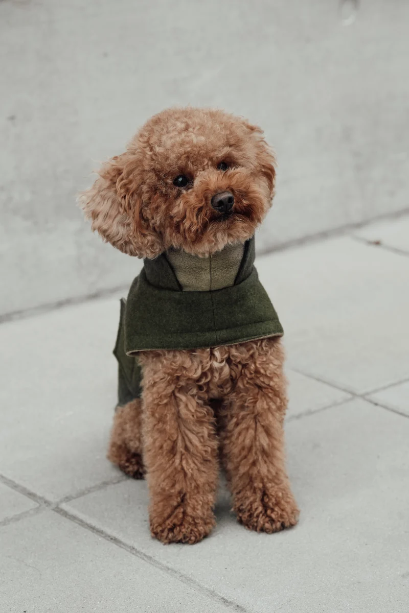 Hundemantel Brooklyn Flanell Fern Green