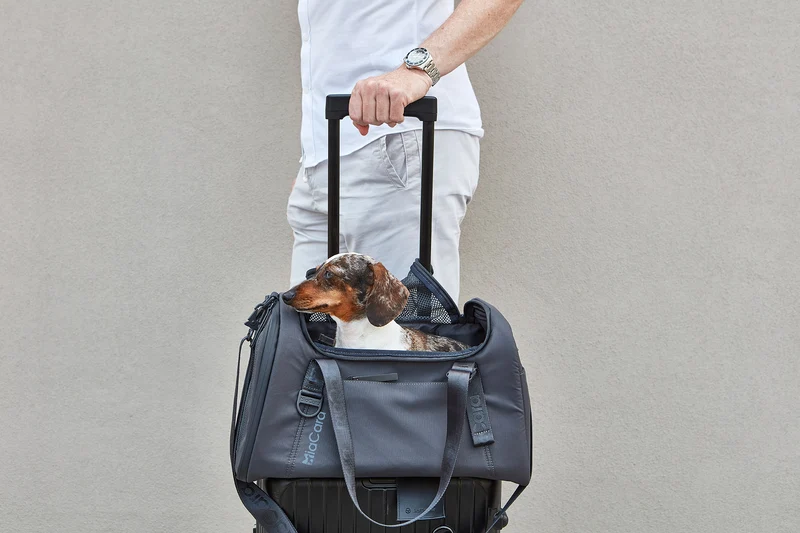 Volata Flugreisetasche Asphalt