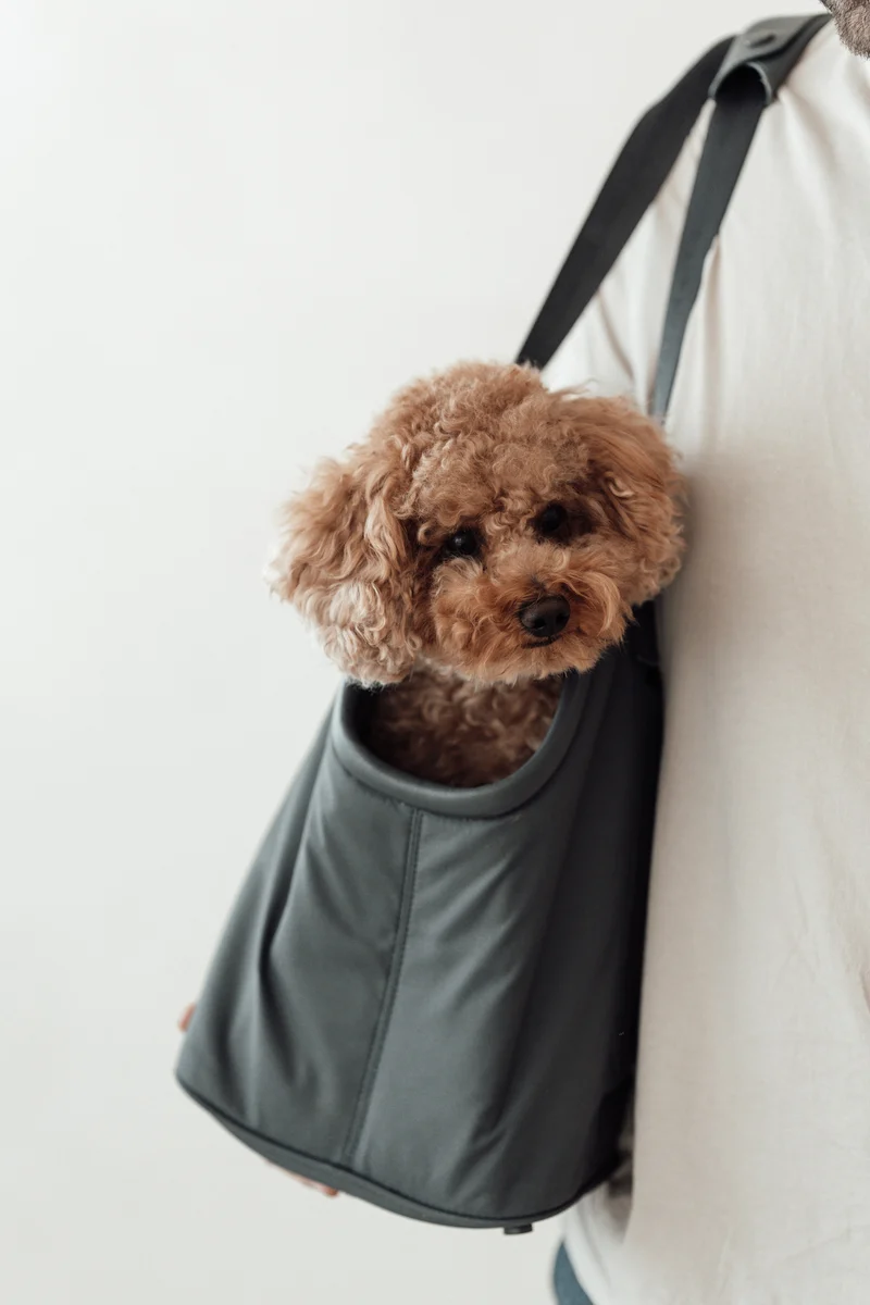 Sporta Hundetragetasche Asphalt