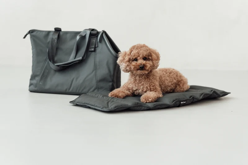 Sporta Hundetragetasche Asphalt