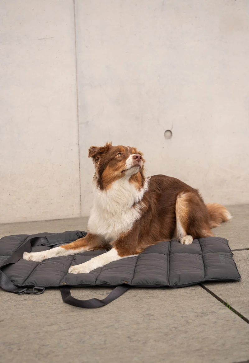 Strada travelBed Asphalt