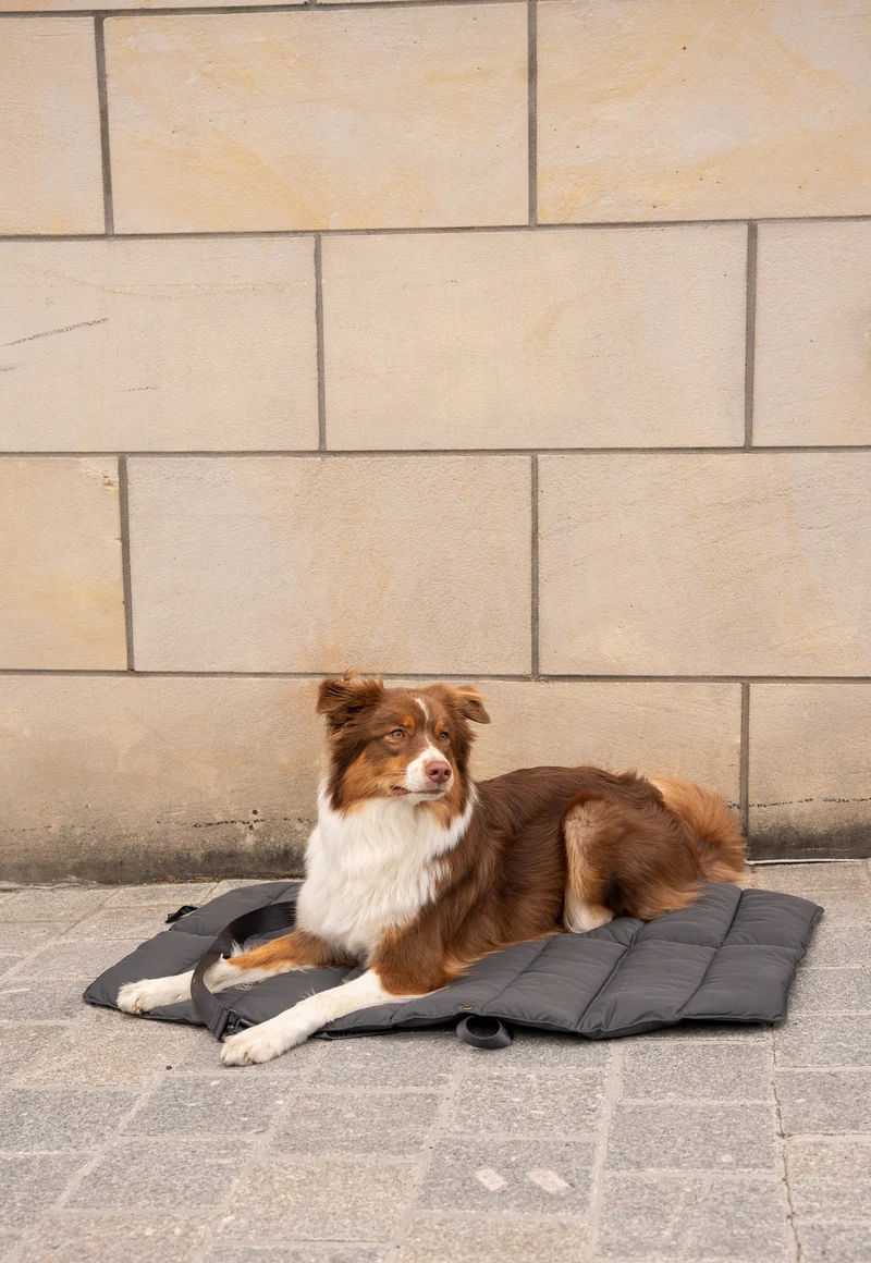 Strada travelBed Asphalt