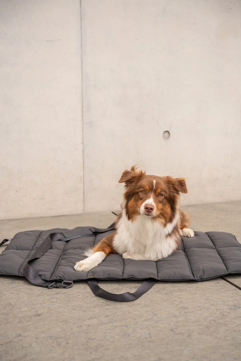 Strada travelBed Asphalt
