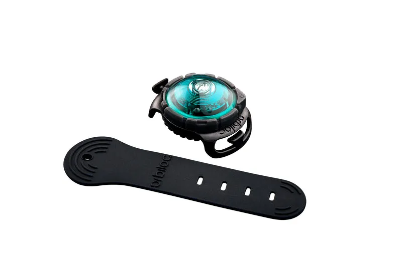 LED Sicherheitslicht Dog Dual Turquoise