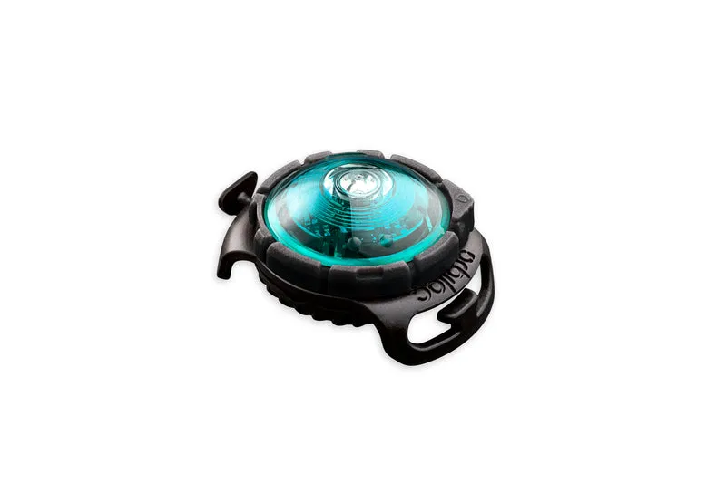 LED Sicherheitslicht Dog Dual Turquoise