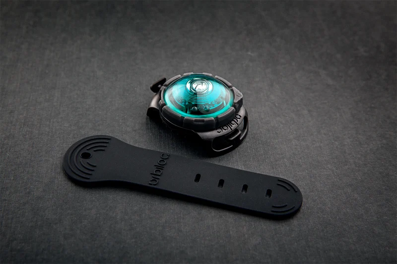 LED Sicherheitslicht Dog Dual Turquoise