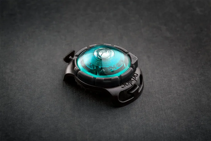 LED Sicherheitslicht Dog Dual Turquoise
