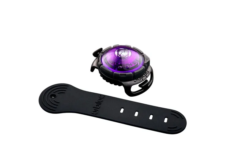 LED Sicherheitslicht Dog Dual Purple