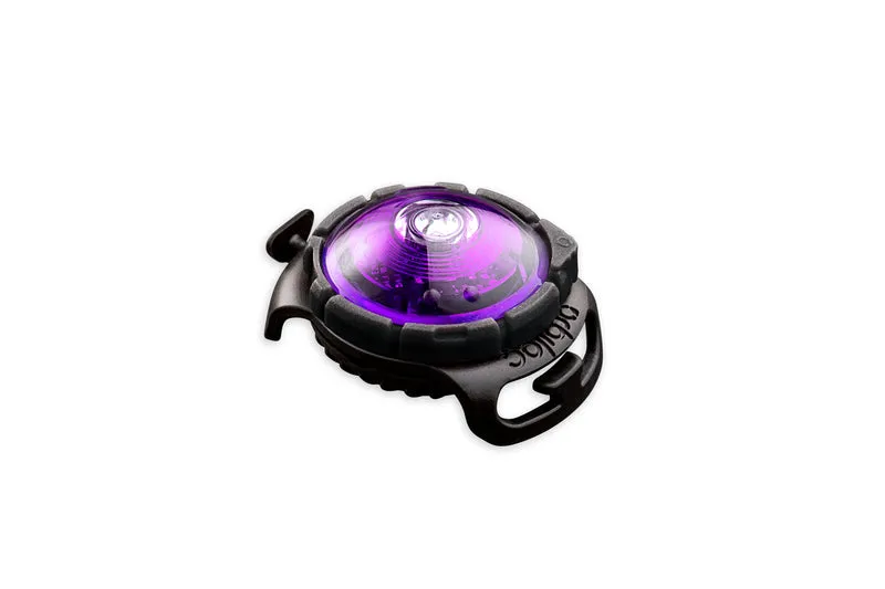 LED Sicherheitslicht Dog Dual Purple