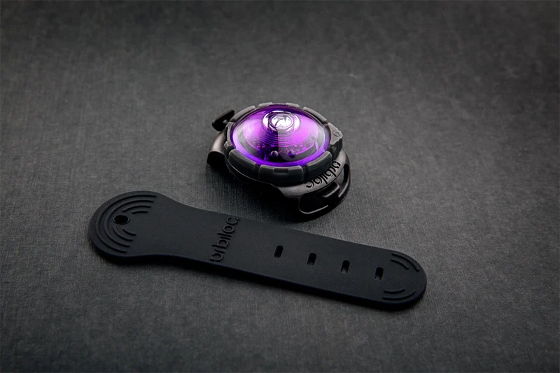 LED Sicherheitslicht Dog Dual Purple