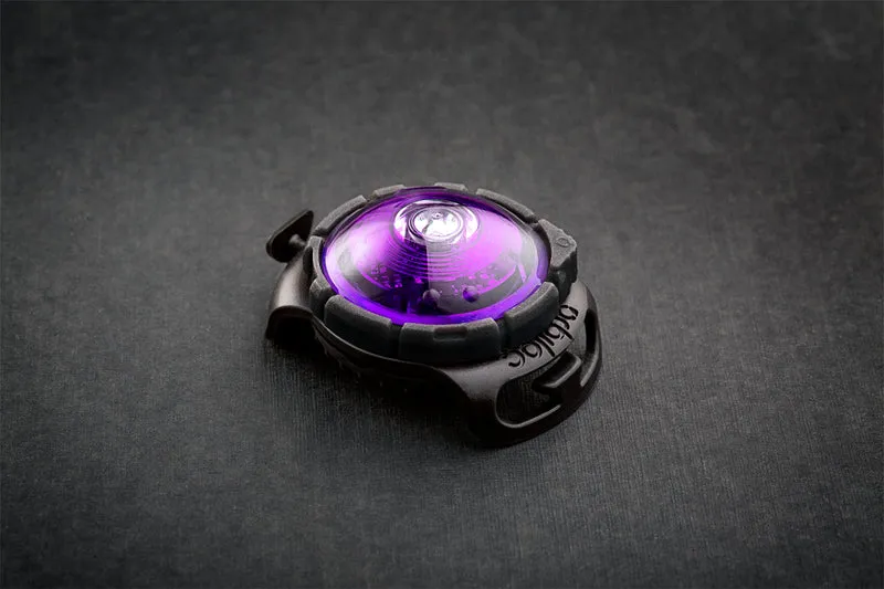 LED Sicherheitslicht Dog Dual Purple