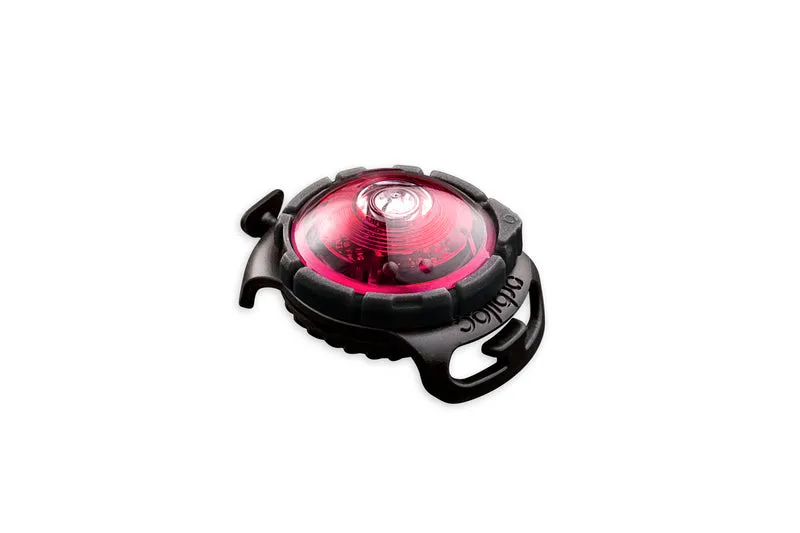 LED Sicherheitslicht Dog Dual Pink