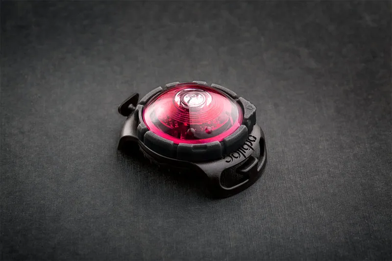 LED Sicherheitslicht Dog Dual Pink