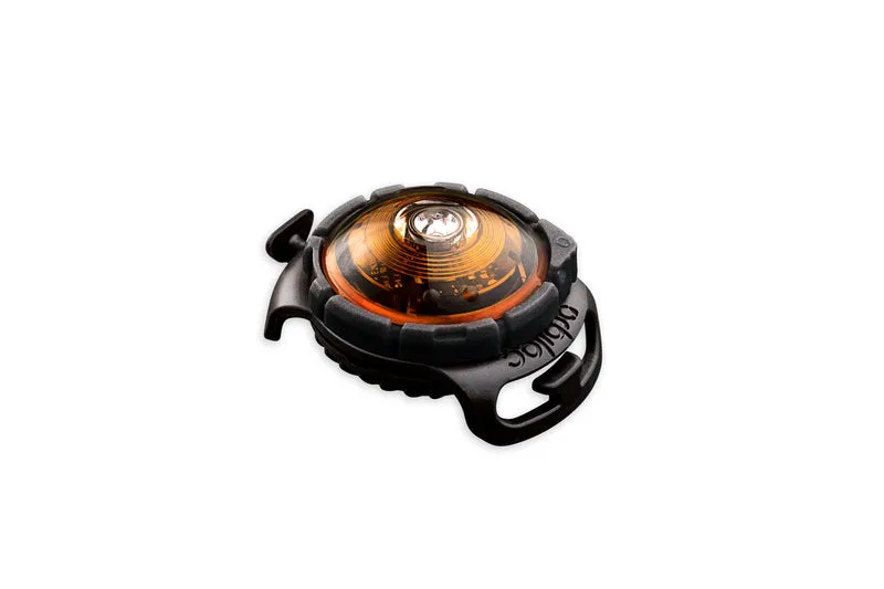 LED Sicherheitslicht Dog Dual Amber